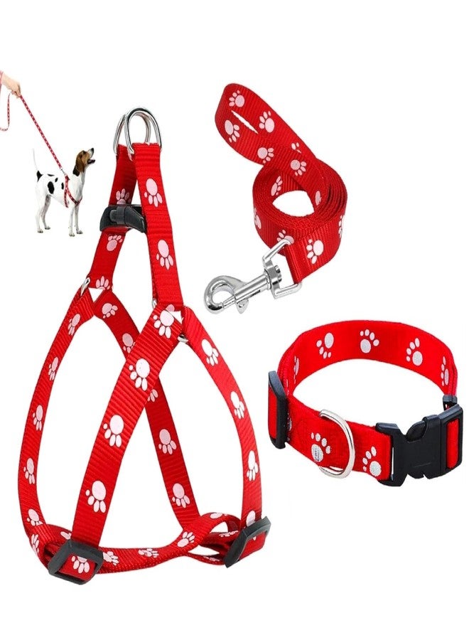 RoverPets 15mm Paw Print Nylon Collar| Harness & Leash Set for Puppies and Medium Dogs | Adjustable & Durable Pet Walking Kit (Color May Vary, Pack of 3) - Image 1